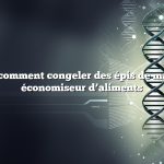 Question : comment congeler des épis de maïs avec un économiseur d’aliments